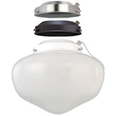Multi-colored Ceiling Fan Globe LED Light Kit